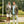 David Blanton and Bill Jordan