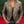 Women's Bottomland Camo Blazer